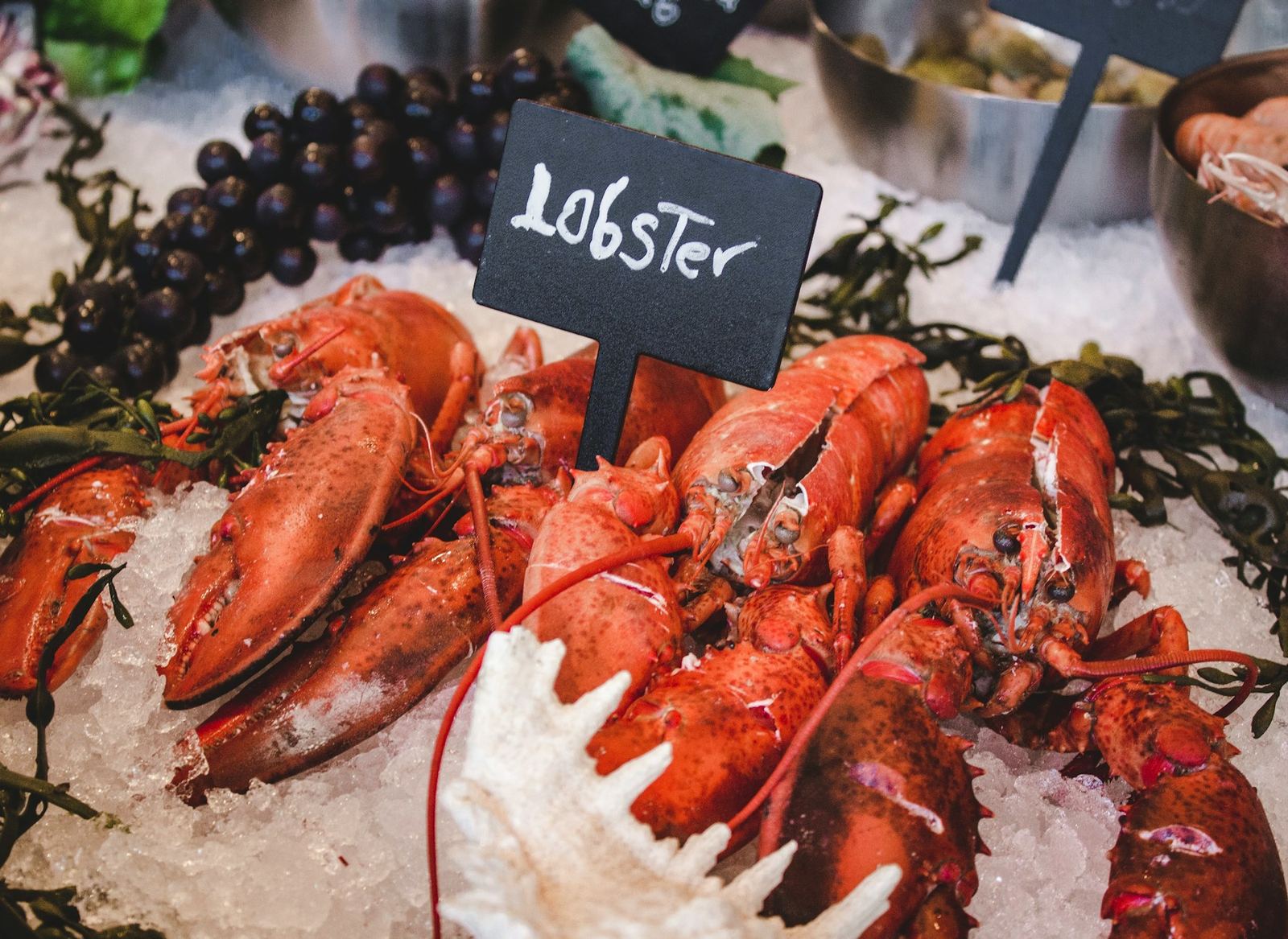 Live red lobsters on ice with a chalkboard sign reading Lobster